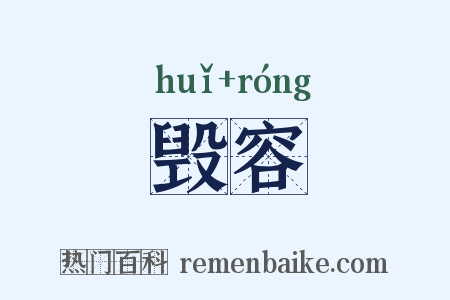 毁容是什么意思的图片